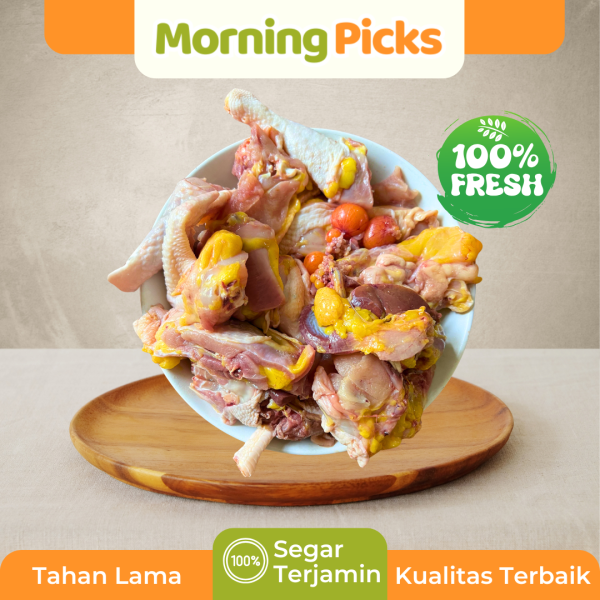 Ayam Kampung Liar Biang